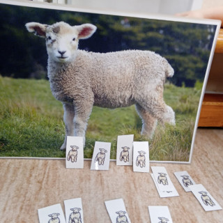 Oldřichov v Hájích - Vlna všemi deseti